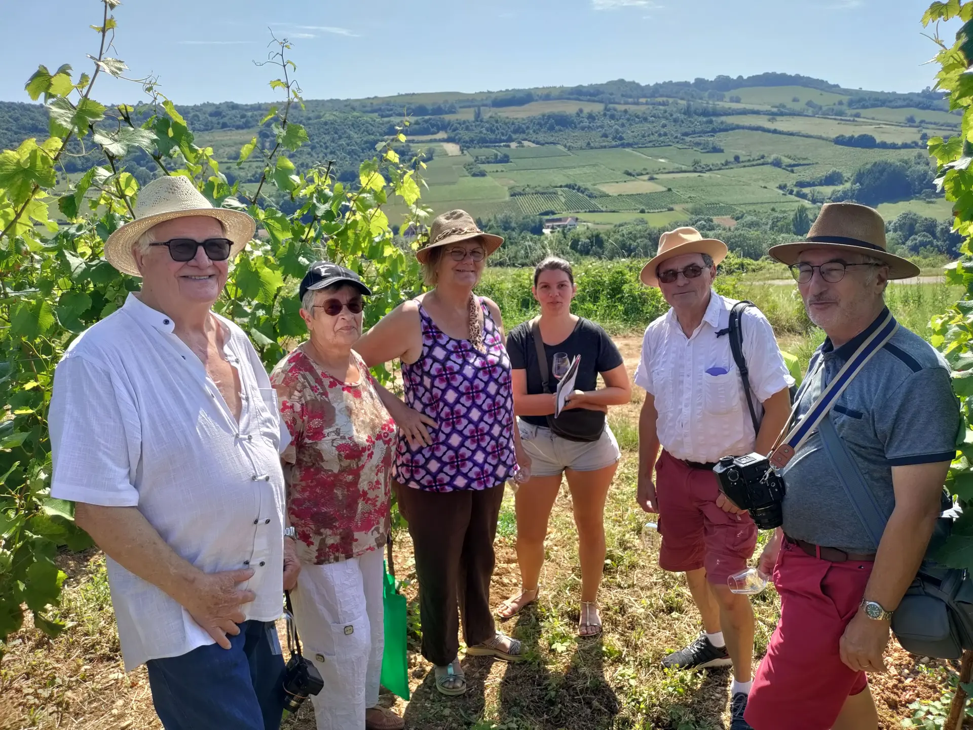 En vigne vers les falaises