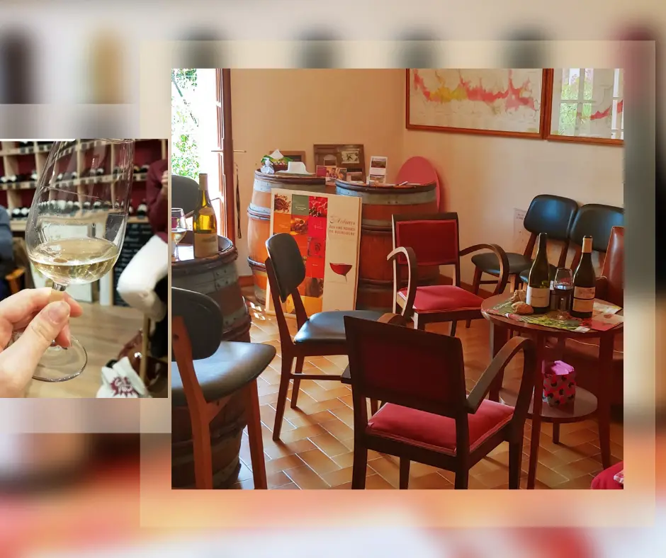 dégustation-dans-le salon