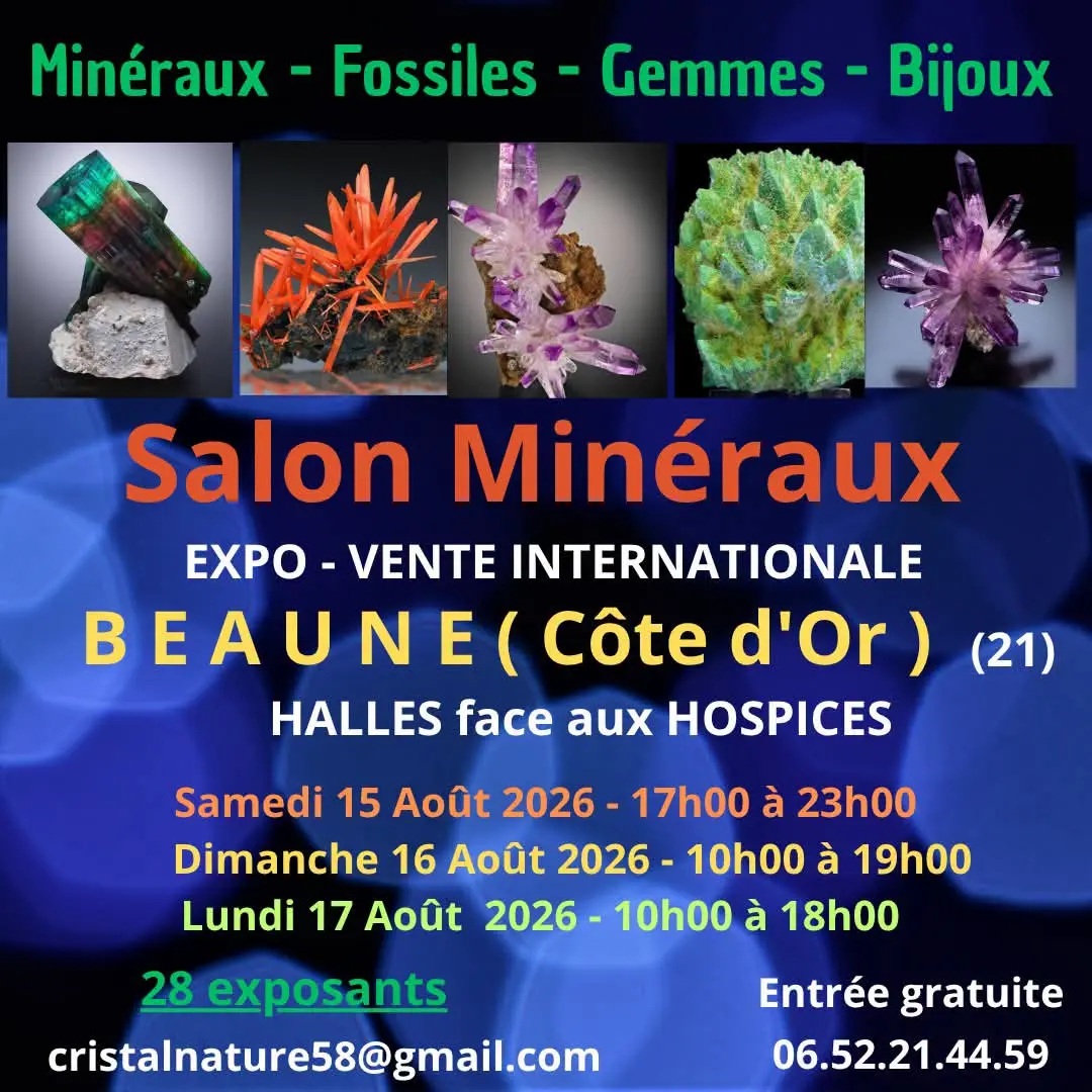 salon minéraux Beaune