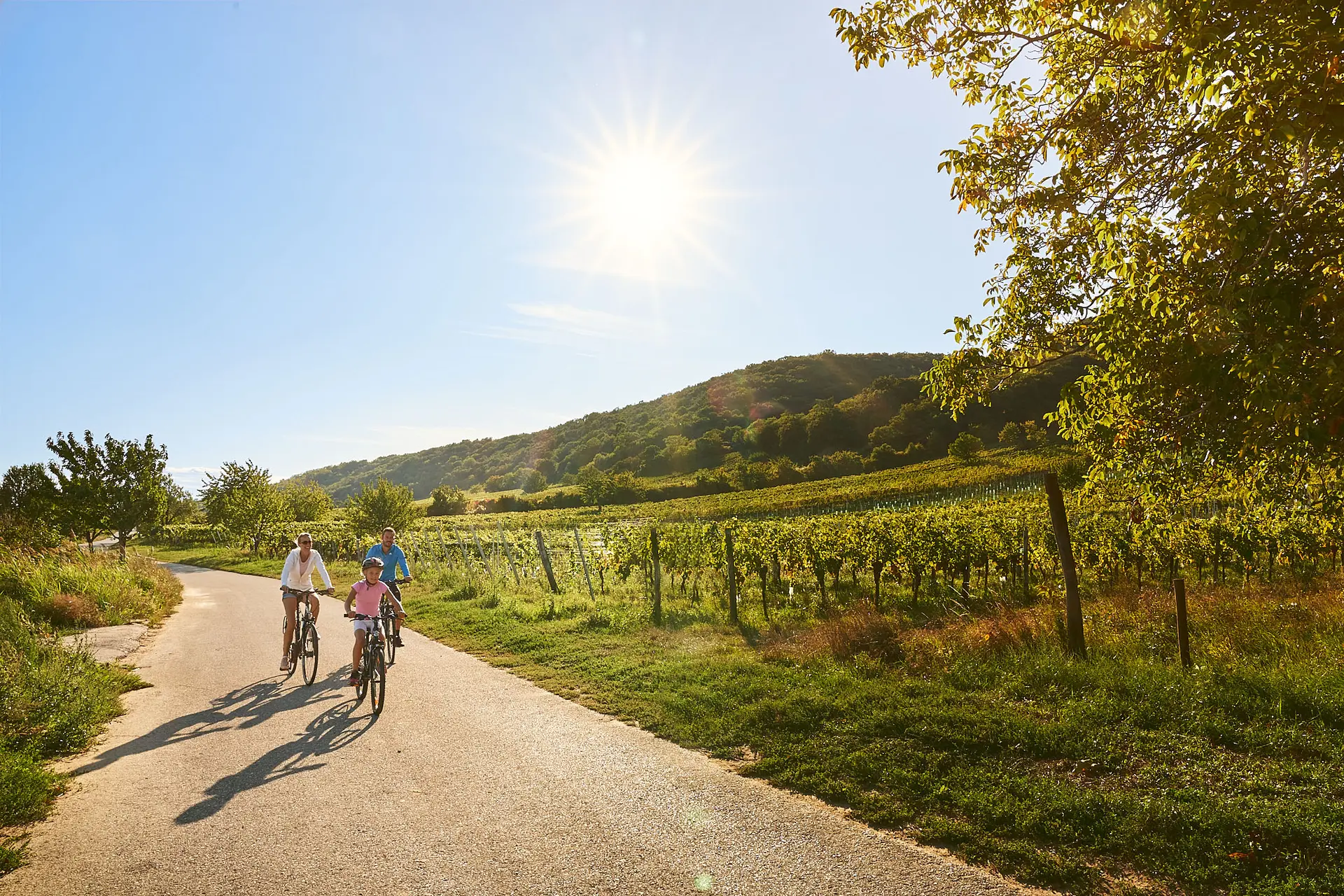 Balade à vélo en famille