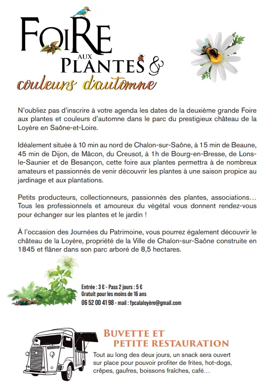 flyer B