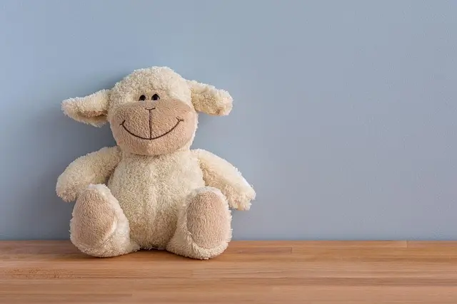Bourse aux jouets