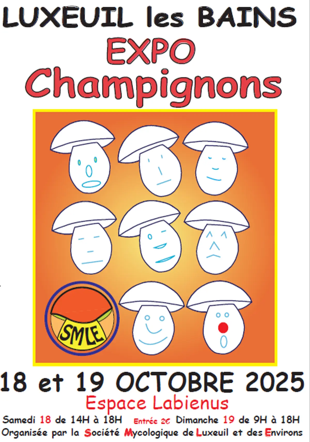 illustration-exposition-de-champignons_1-1759140428