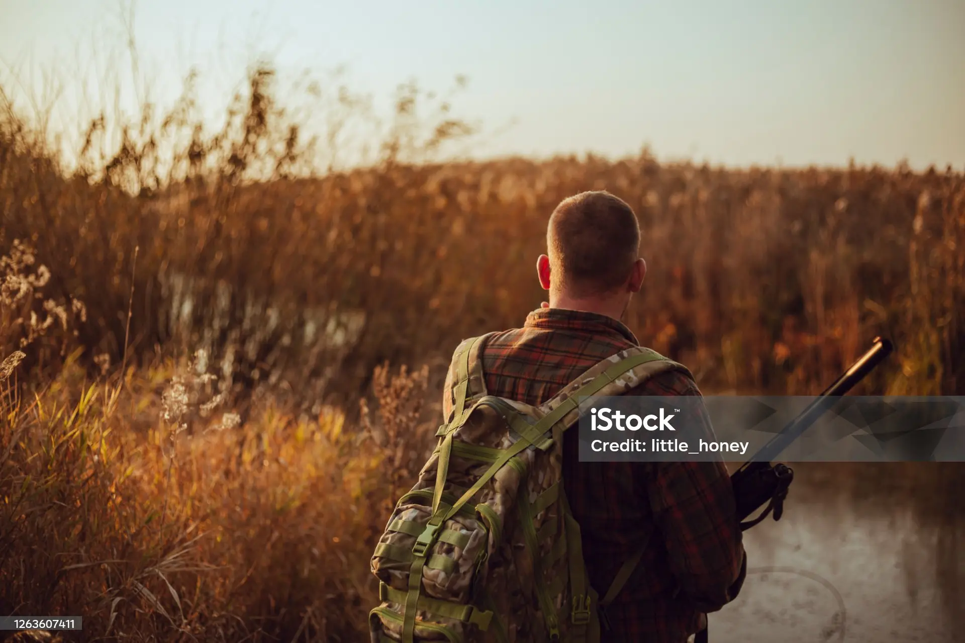 istockphoto-1263607411-2048x2048