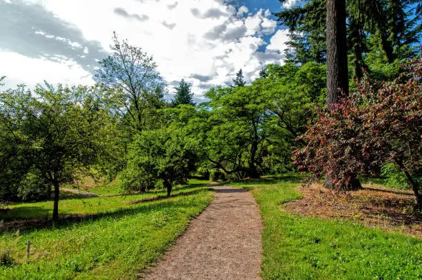 istockphoto-1370807523-612x612