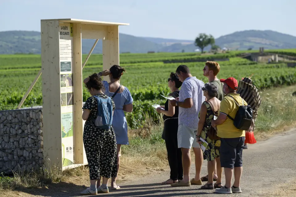 la quête (c) Michel Joly 2