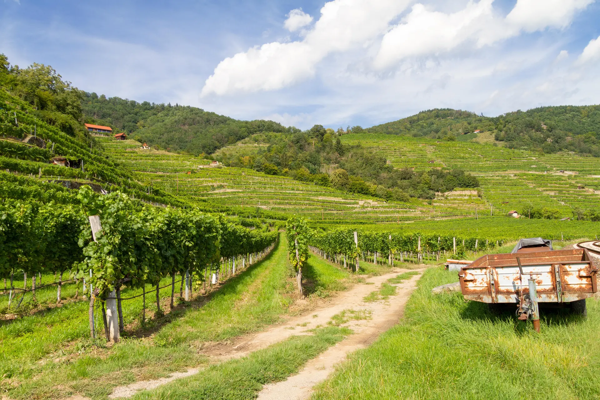 vignoble-france-a-velo