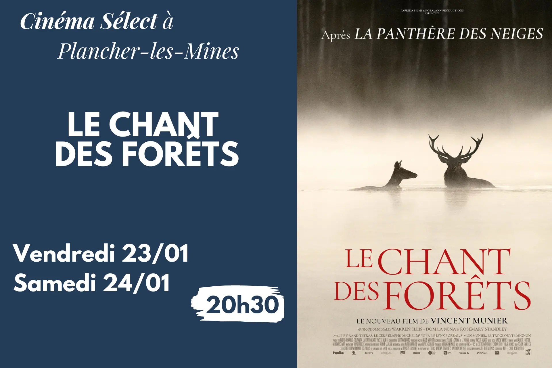 Janvier février 2026 - le chant des forets