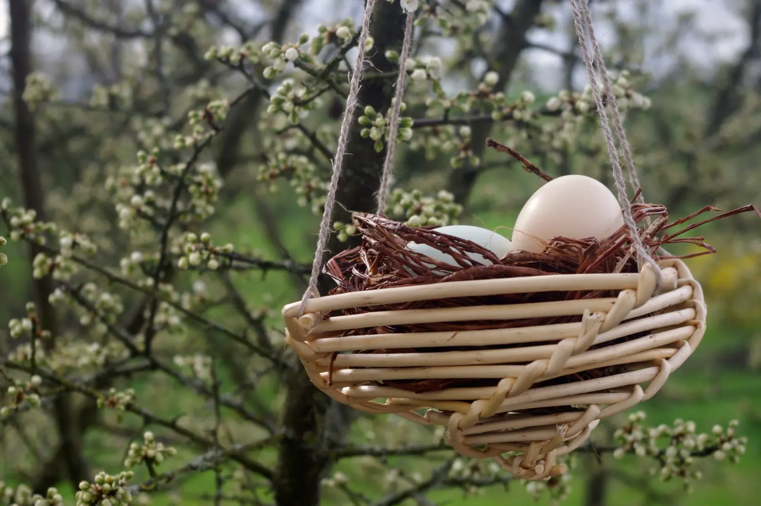 le_lieu_des_loups_nid_de_paques_2