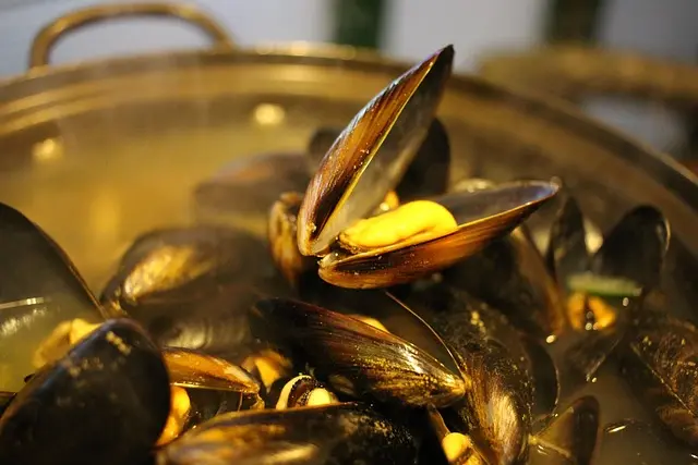 moules 26-02-21