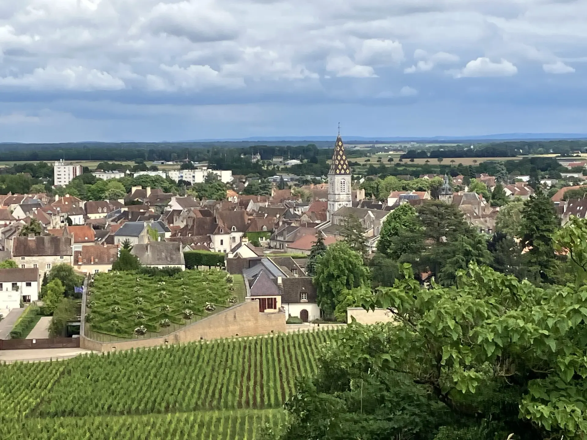 Visite guidée de Nuits-Saint-Georges