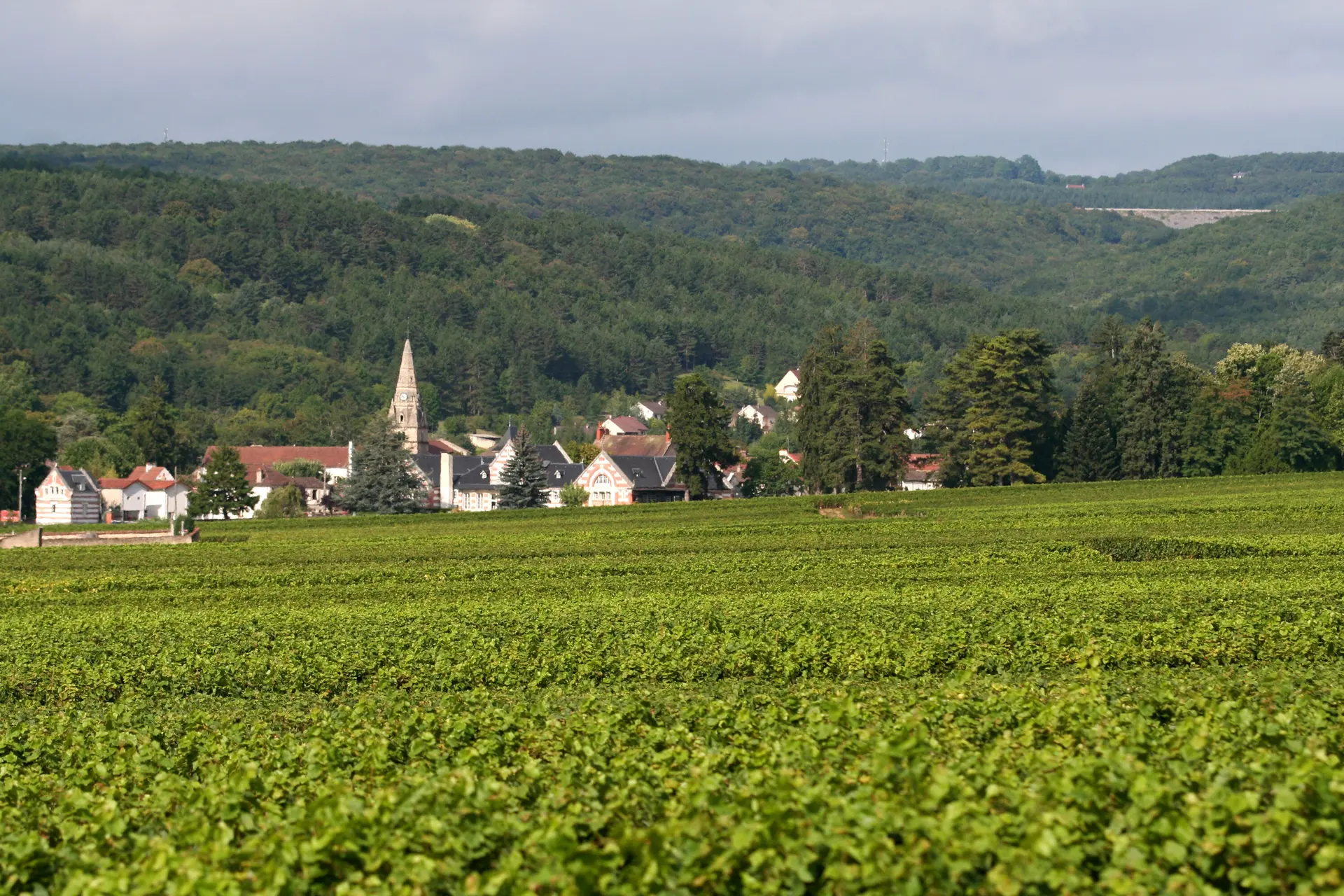 Savigny-les-Beaune