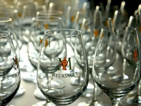 Dégustation Historie archives et vins