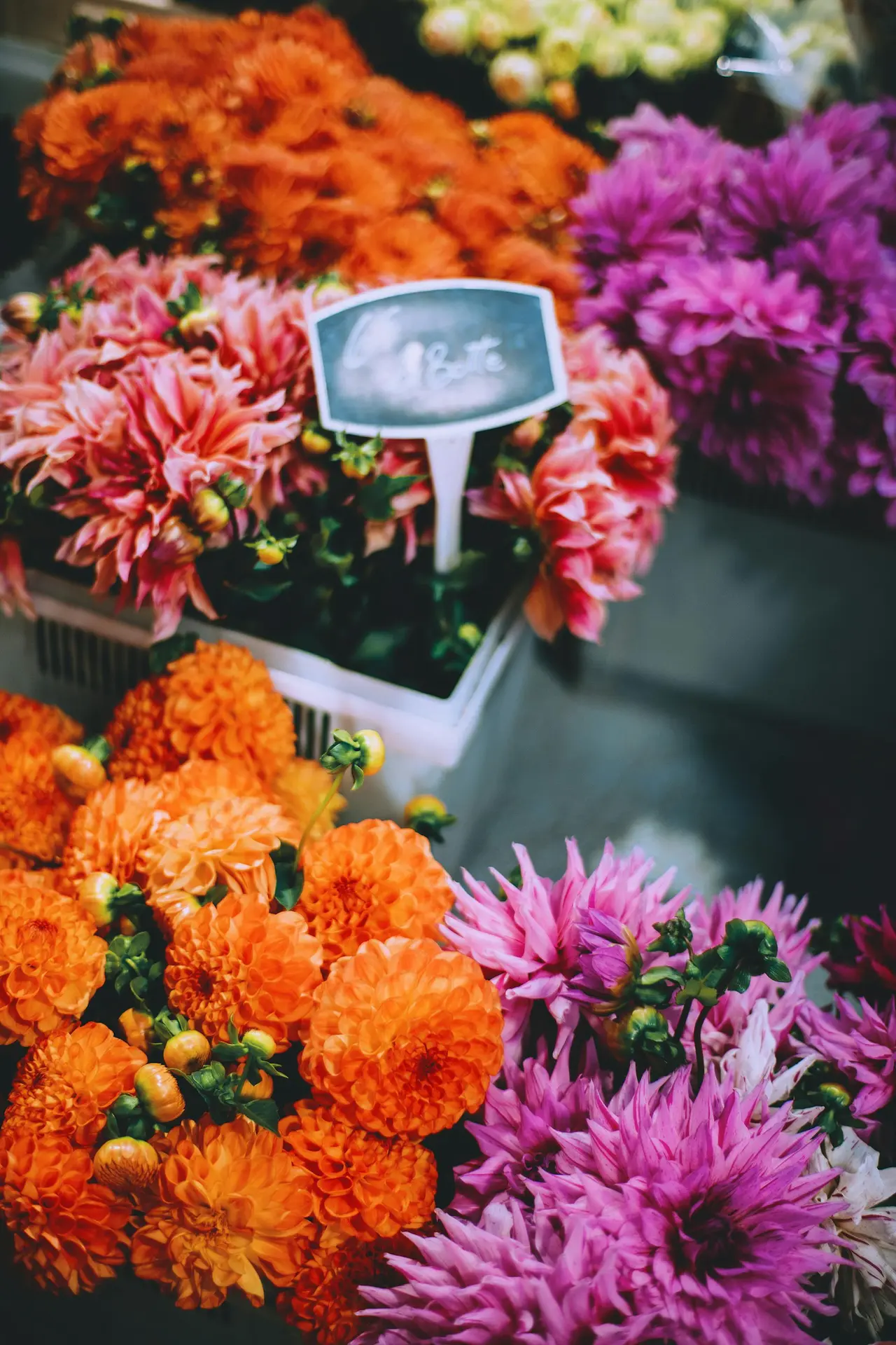 Foire aux fleurs