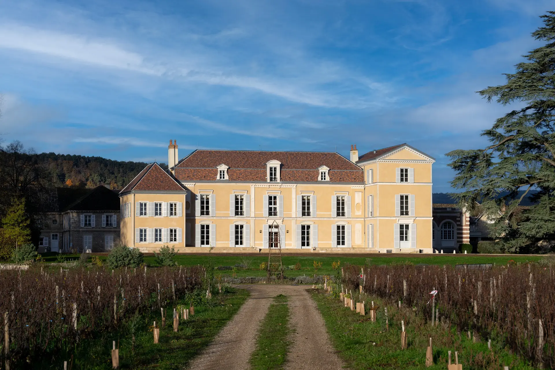 Chateau de Meursault
