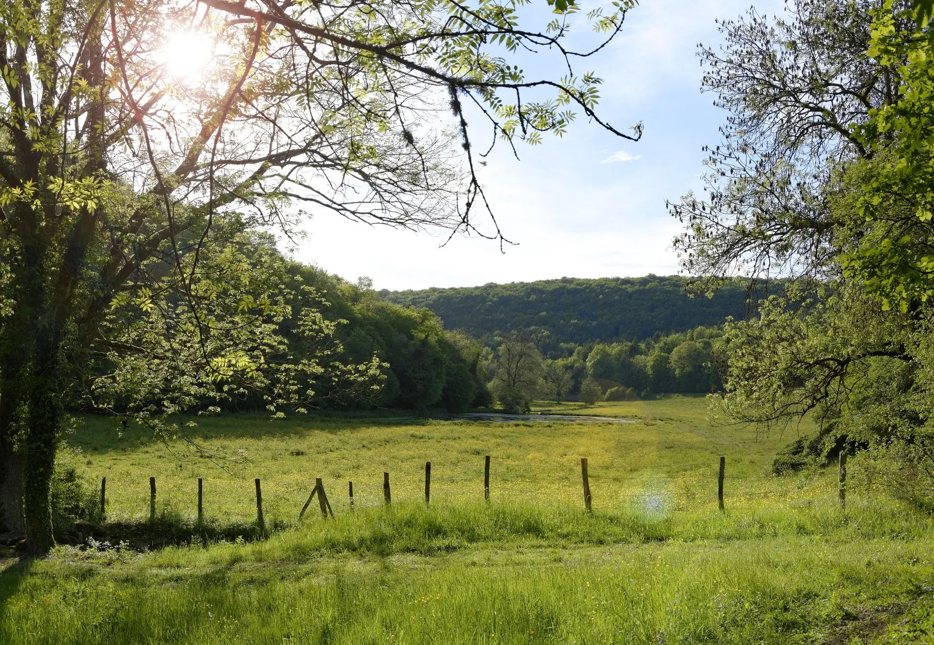 vallon4-min