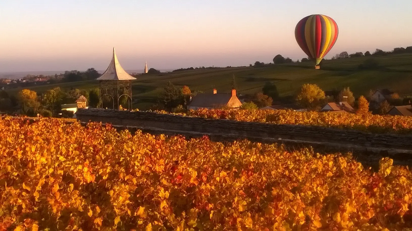 vignoble 2_credit photo organisation