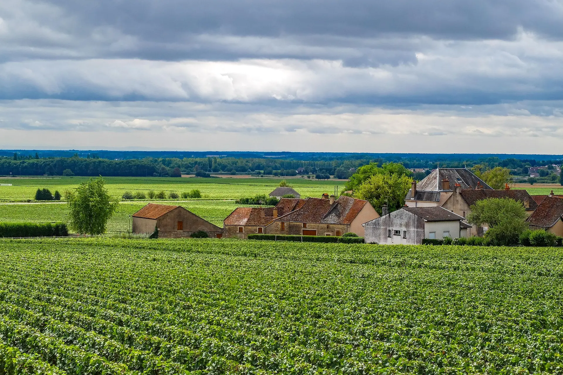 Vignoble_village