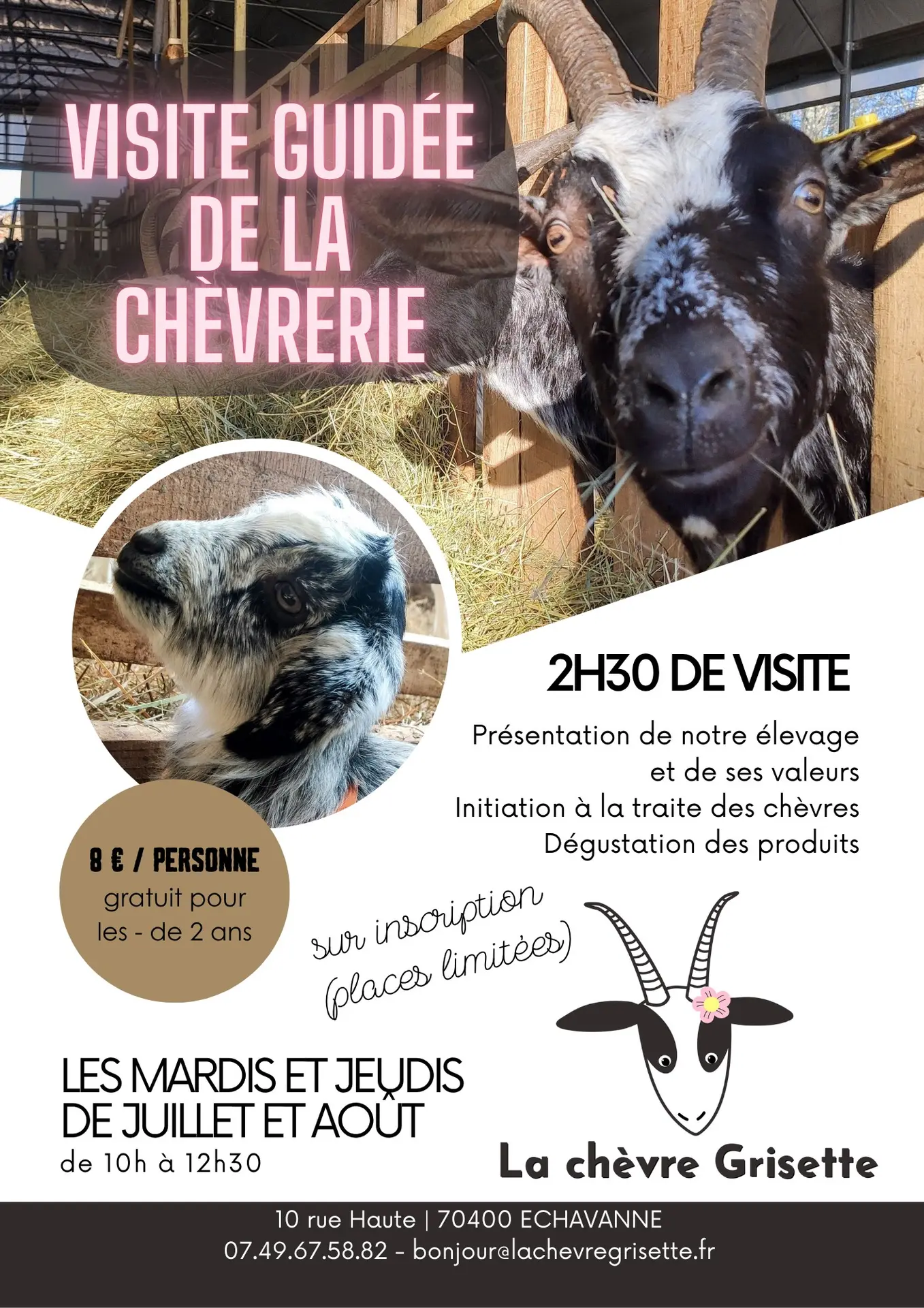 visite guidée chèvrerie