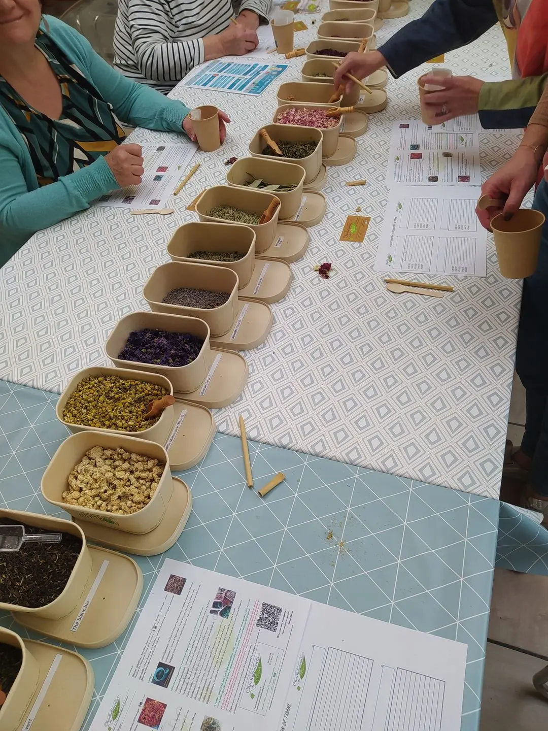 Atelier tisane/herboriste