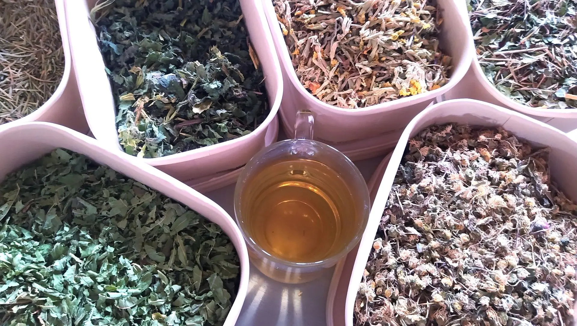 Atelier tisane/herboriste