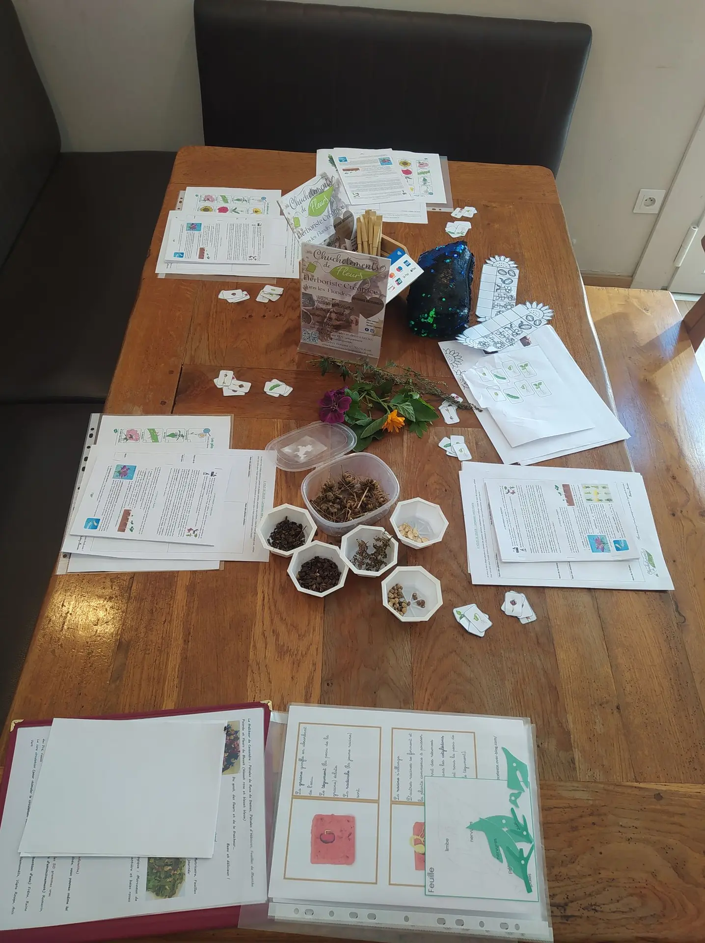 Atelier tisane/herboriste