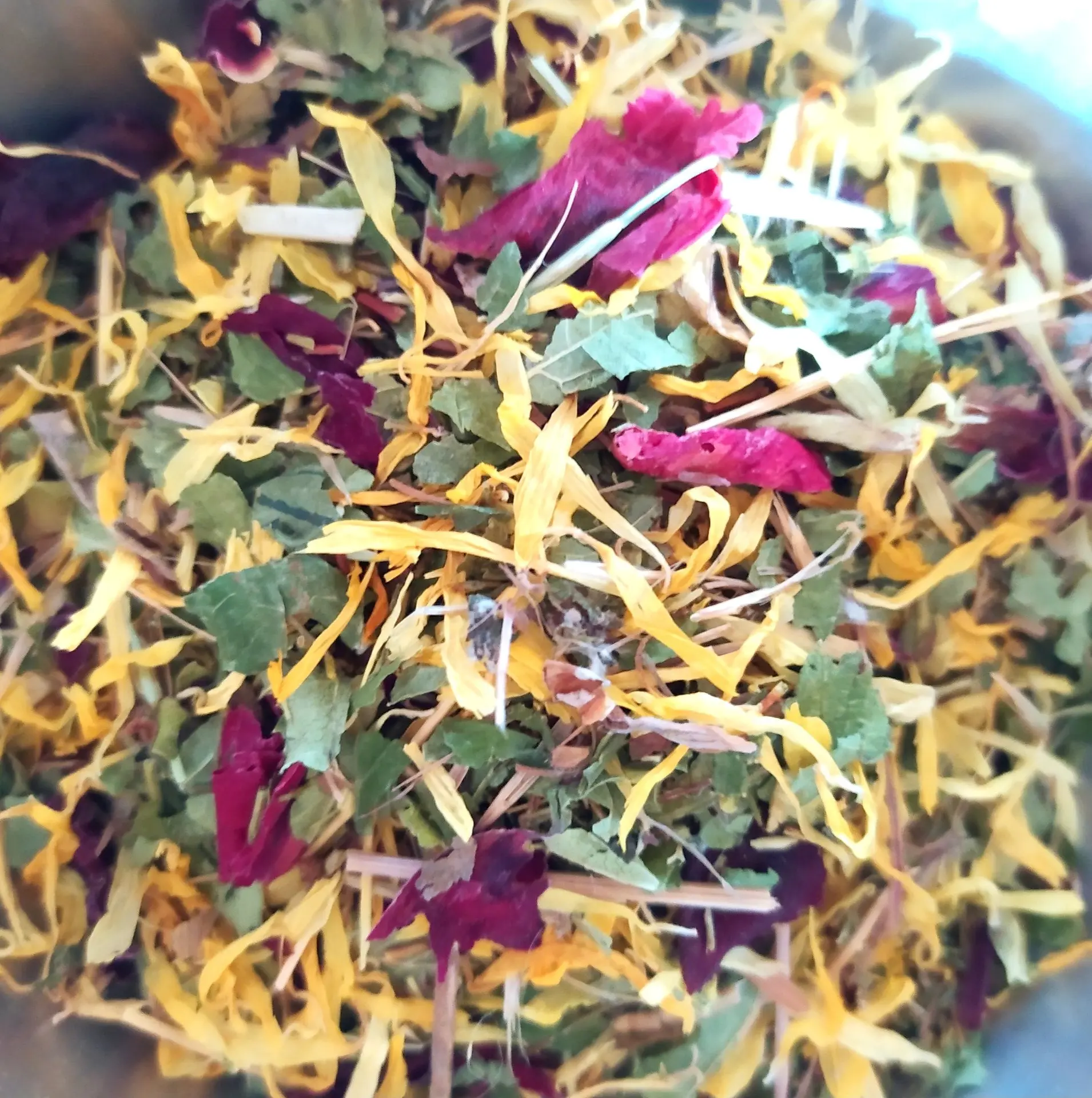 Atelier tisane/herboriste