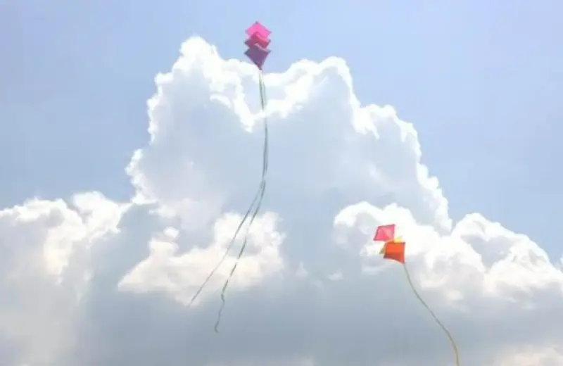 Cerf-volant