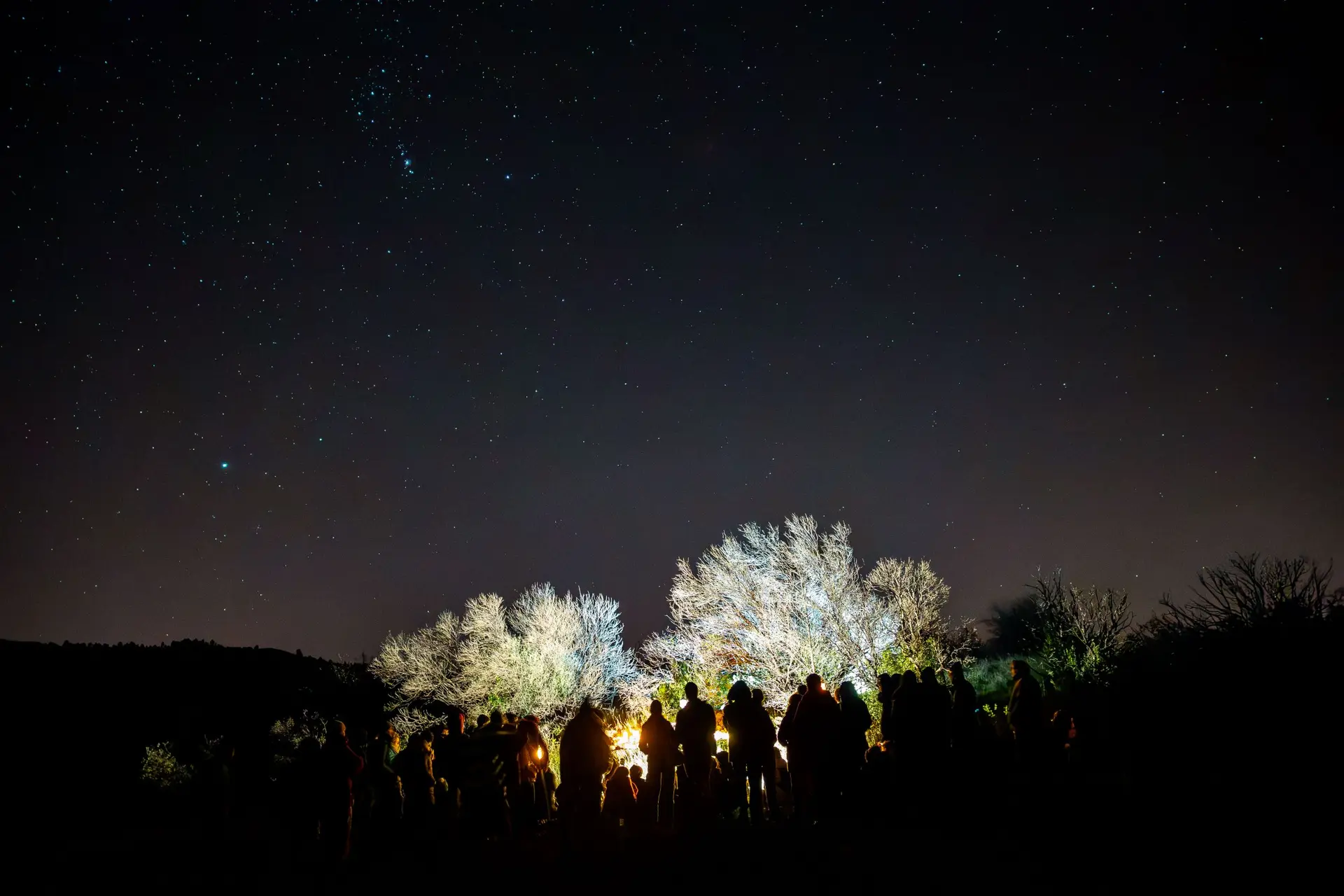 Croire-aux-fauves-122-©Kalimba