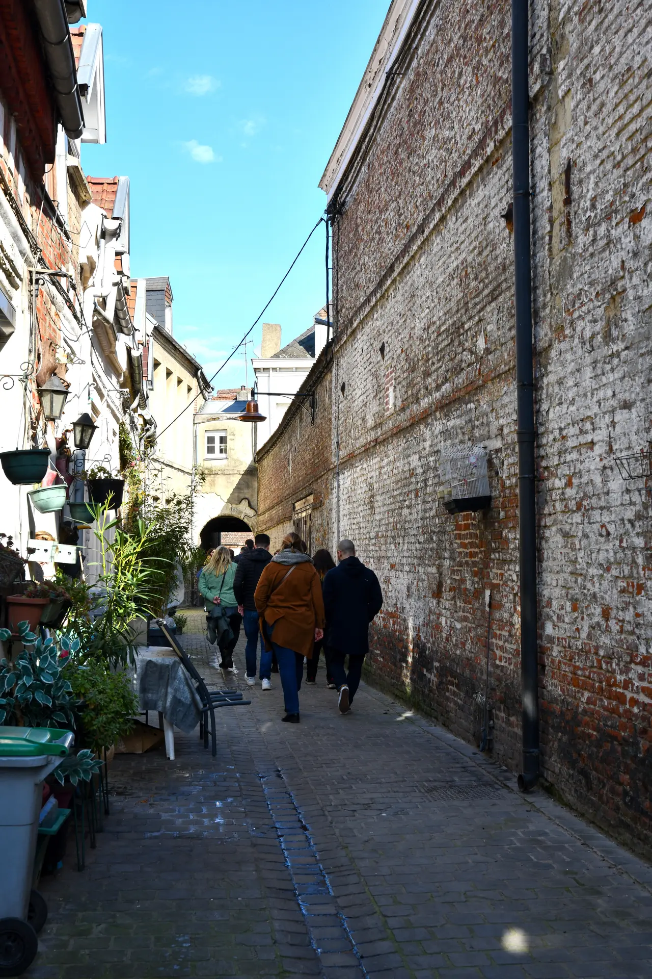 DSC_5733