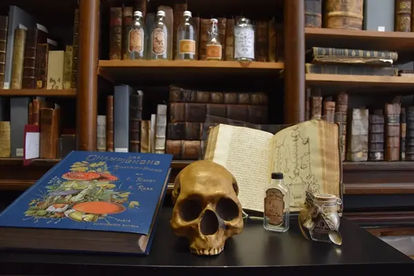 Expositionpoisons-mediatheque-agnda-valenciennes