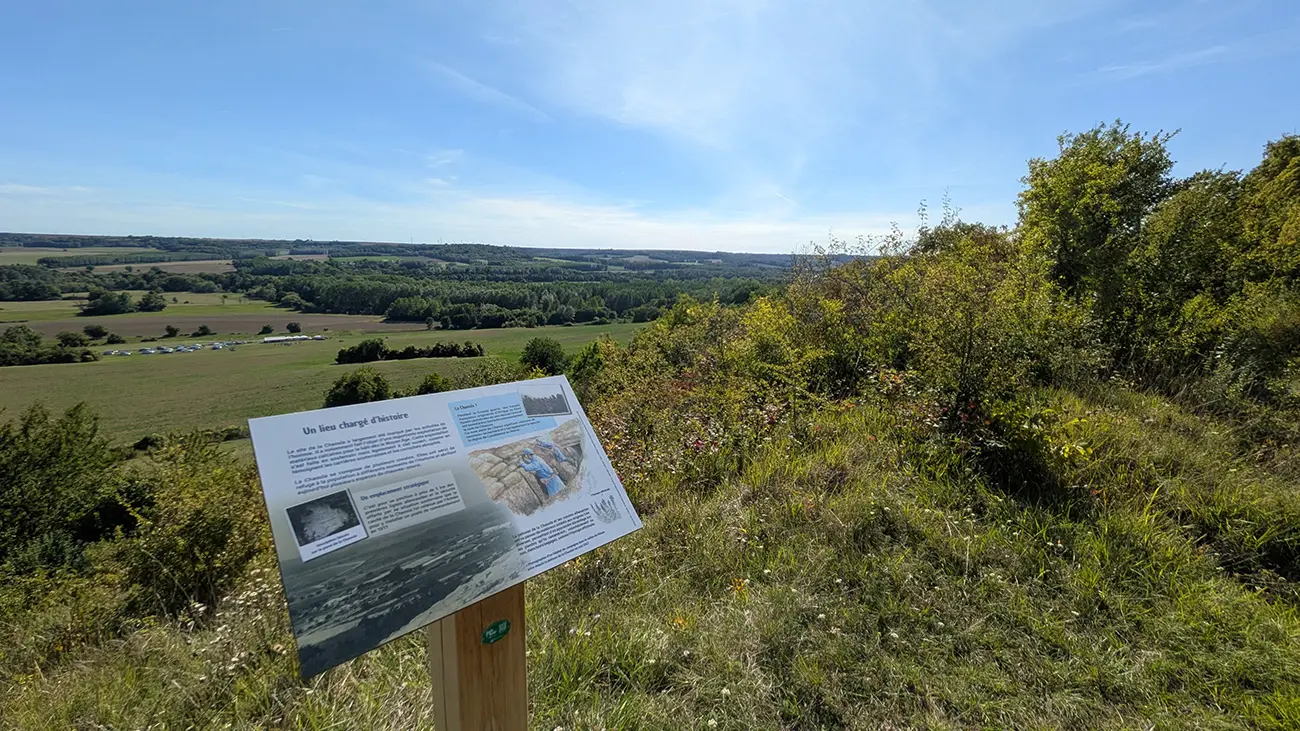 Pelouse Chaouïa II < Oeuilly < Aisne < Hauts-de-France
