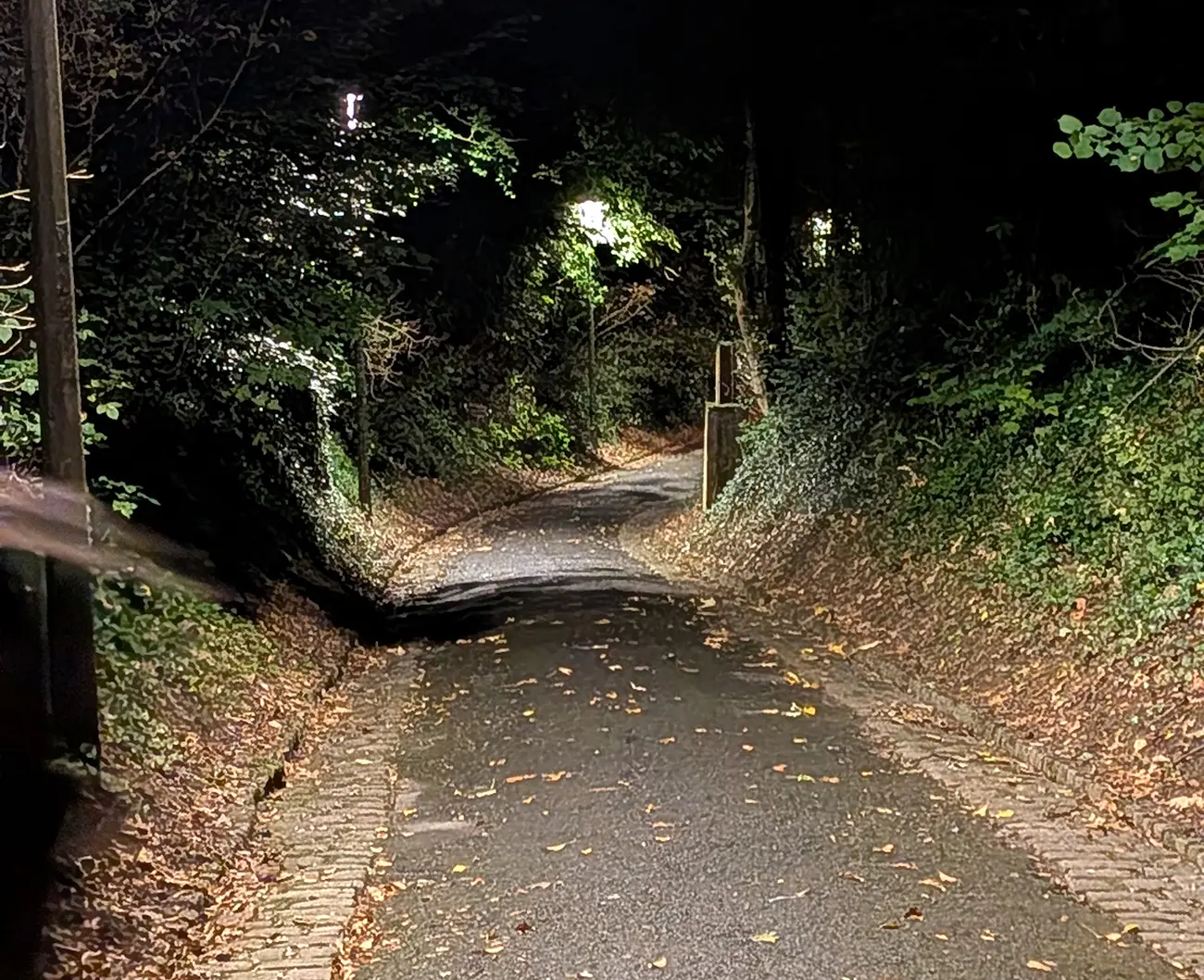 Sortie nature nocturne 2025 < Laon < Aisne < Picardie
