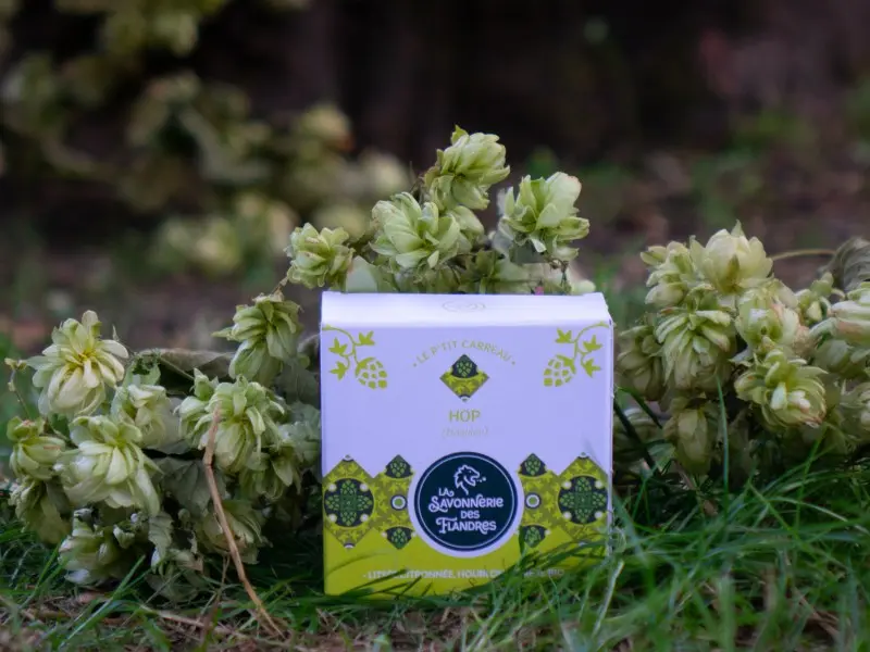 Savonnerie des Flandres