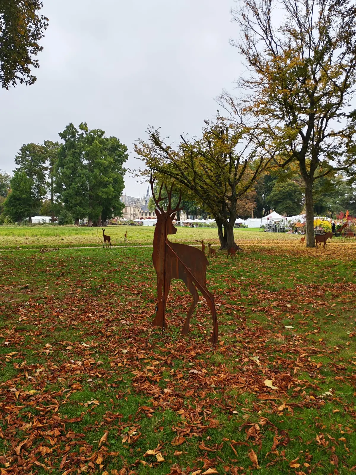 Journées des Plantes d'Automne Chantilly