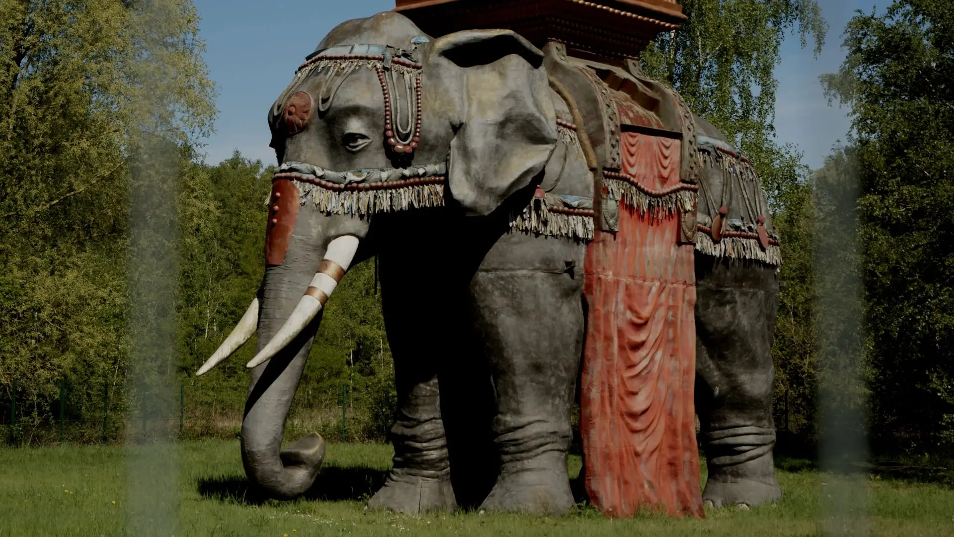 memoires-elephant-phenix-valenciennes