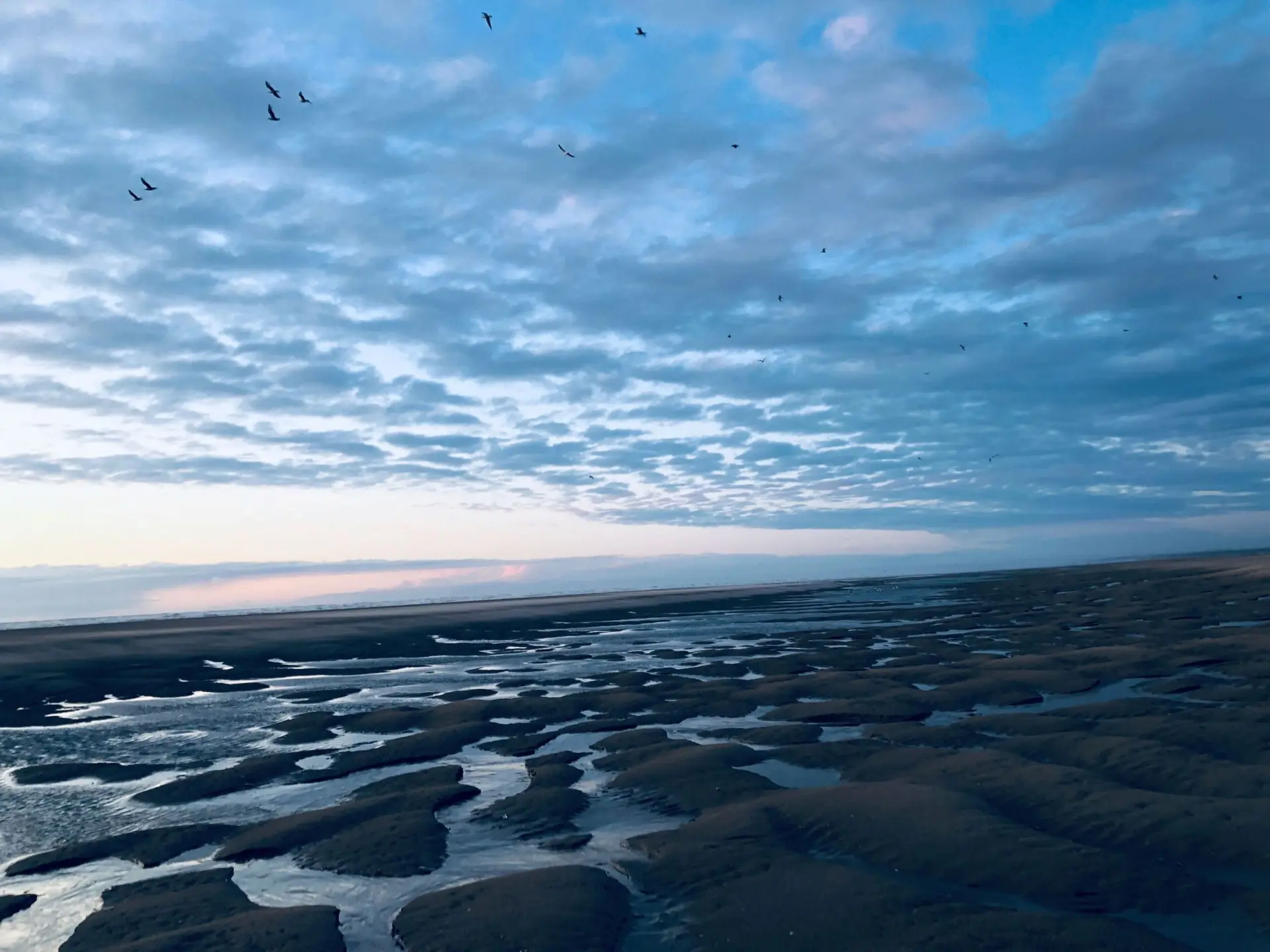 ocean-memoire-phenix-valenciennes