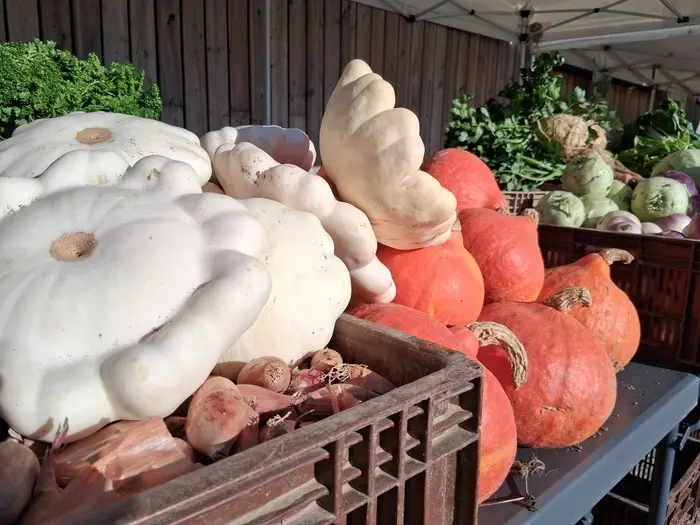 Trésors d’Automne_1