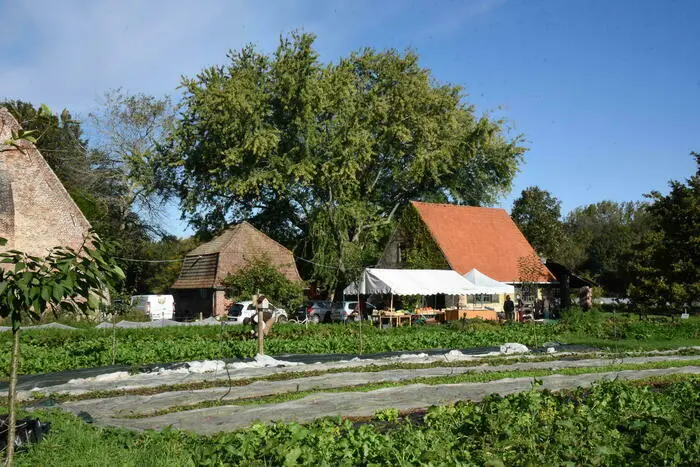 Portes ouvertes de la Ferme du Recueil_1