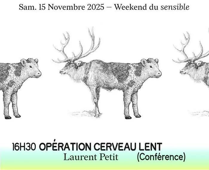 Opération Cerveau Lent - Laurent Petit_1