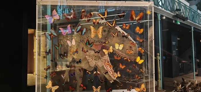 Fives / Atelier - Crée ton portrait de dino !_1