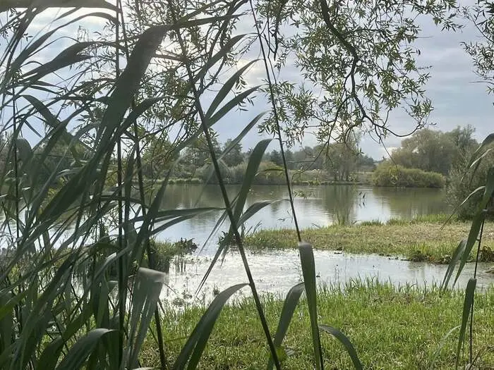 Balade naturaliste : regards d’automne_1