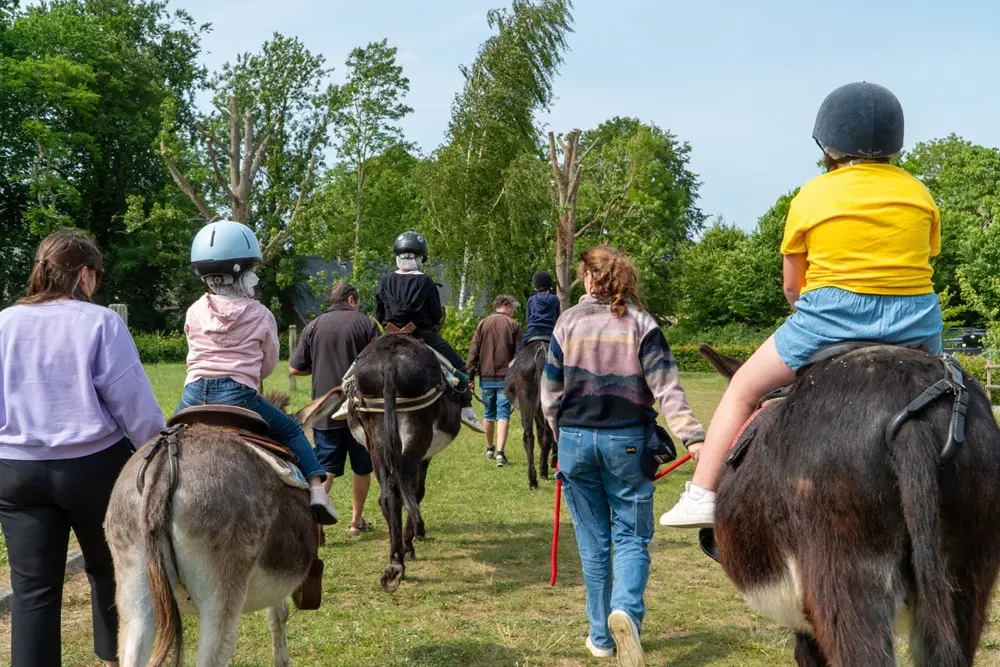 balade avec anes flanerie Esquelbecq