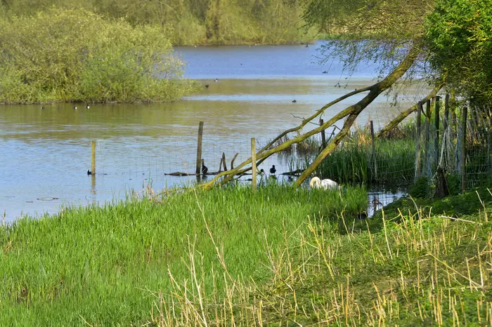 Balade naturaliste : 
