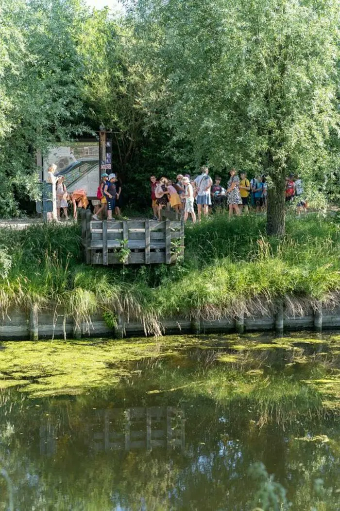 Balade naturaliste : découverte des bassins filtrants_1