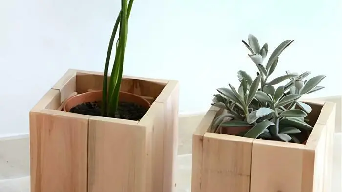 Atelier : Mini jardinière de printemps_1