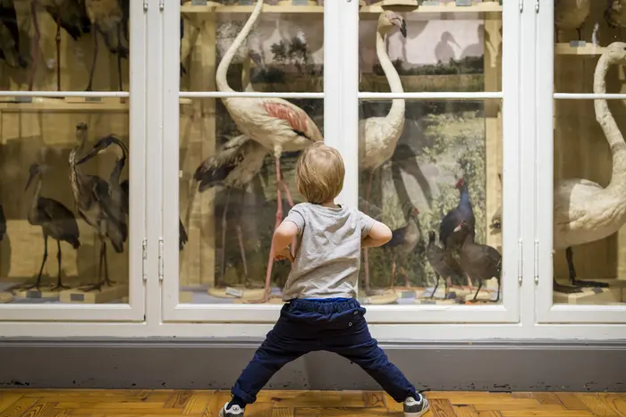 Création de poésie à hauteur des tout-petits / Atelier participatif autour des tapis sensoriels_1