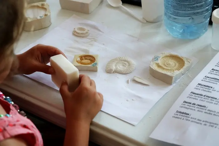Les petits labos du Musée Les fossiles / à la Pouponnière_1