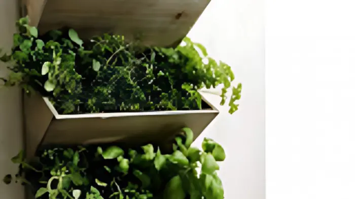 Jardinière murale_1