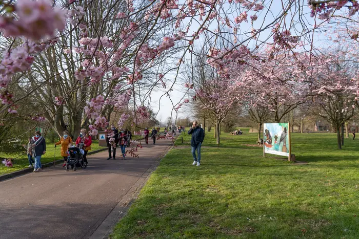 Balade naturalistes : Carnet d’Art, la biodiversité des zones humides_1